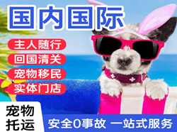 大同云冈机场空运国际宠物托运 【国